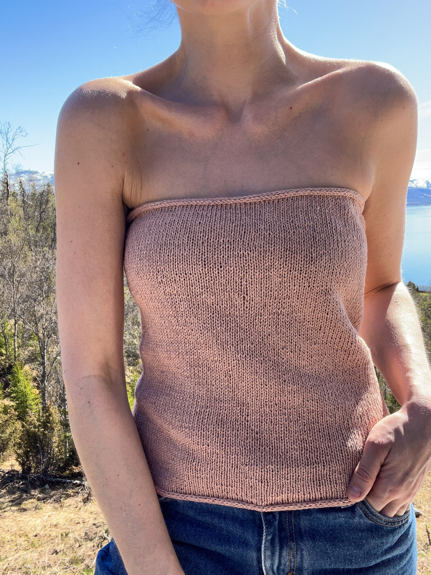 Sandy Top (dansk)