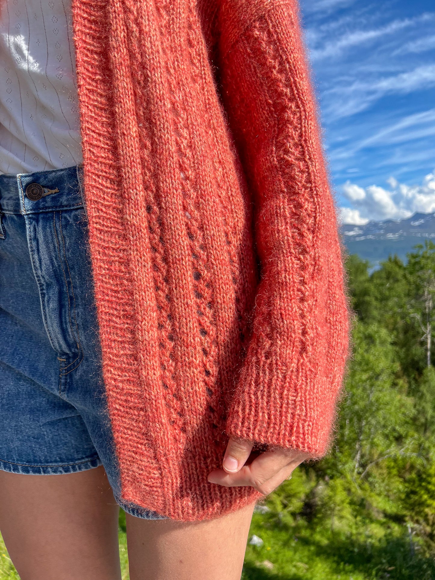 Nellie Jacket (français)