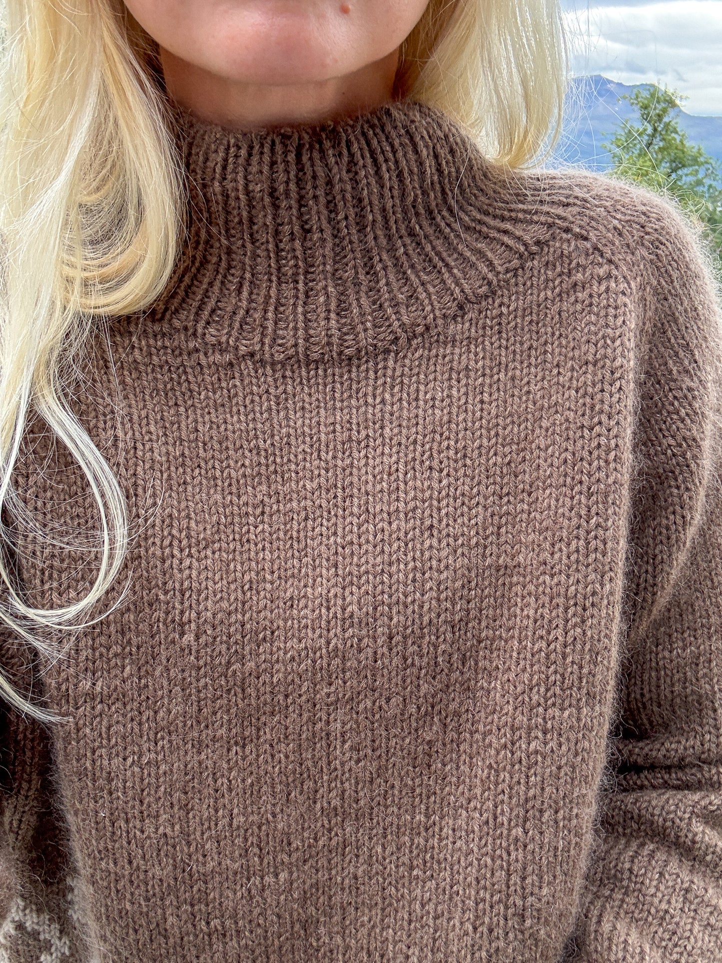 Frigg Sweater (français)